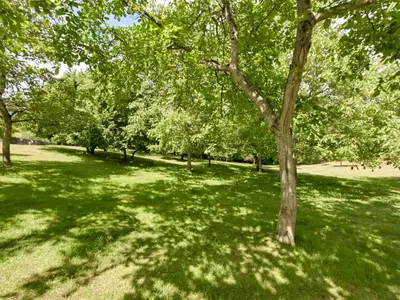 View 59