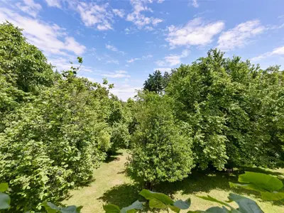 View 58