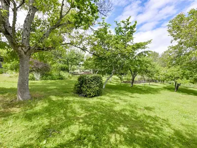 View 31