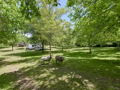 View 60