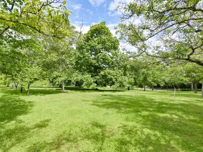 View 29