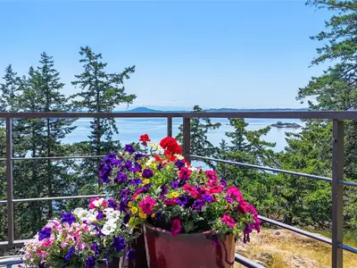 View 28