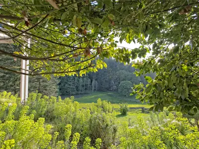 View 35