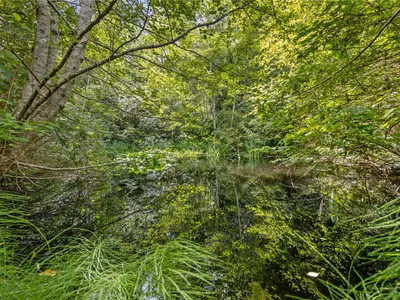 View 50