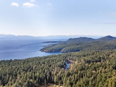 View 1