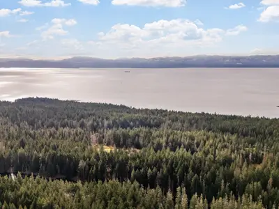 View 14