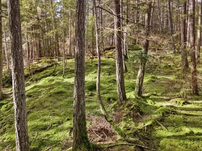 View 21