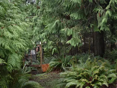 View 27