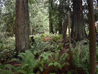 View 2
