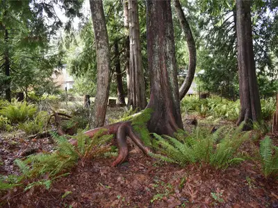 View 24