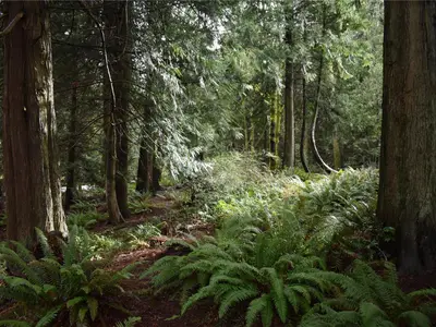 View 29