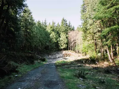 View 22