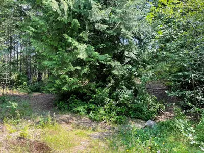 View 6