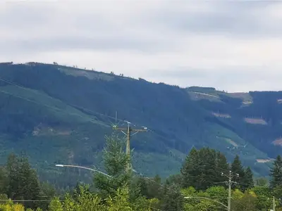 View 30