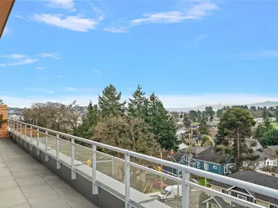 View 15