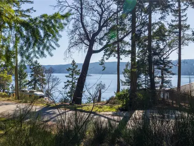 View 15