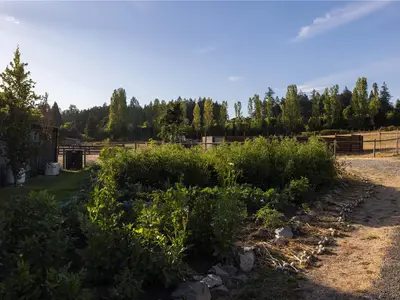 View 56