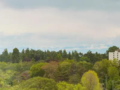 View 42