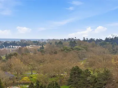 View 41