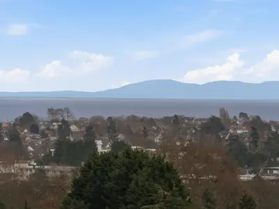 View 40
