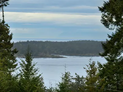 View 81