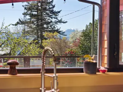 View 15