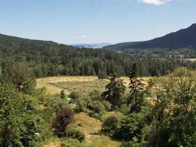 View 49