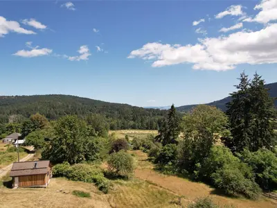 View 50