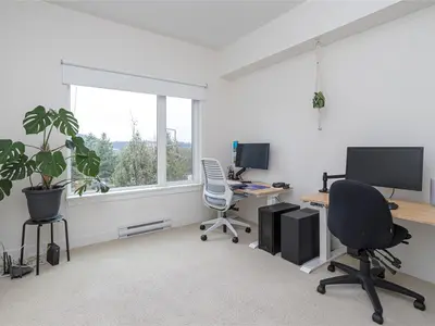 View 19