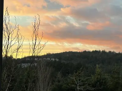 View 25