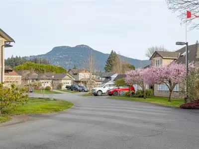 View 40