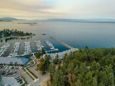 View 50