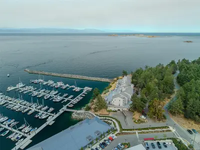 View 15