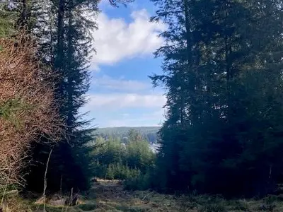 View 6