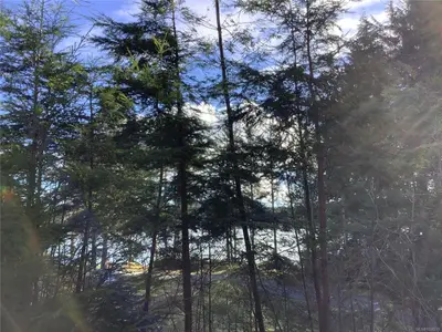 View 1