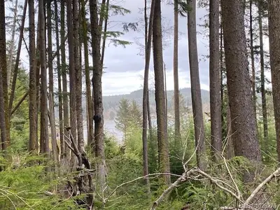 View 5