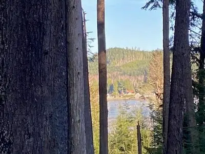 View 4
