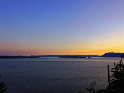View 61
