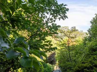 View 31