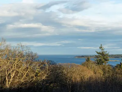 View 4