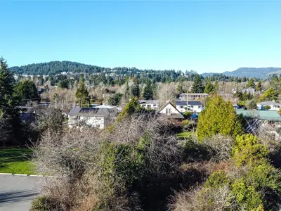 View 6