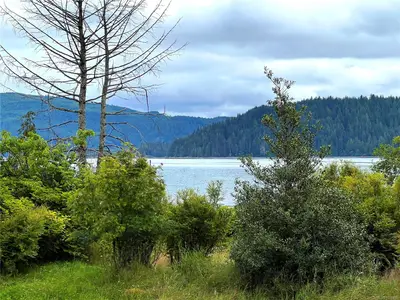 View 42