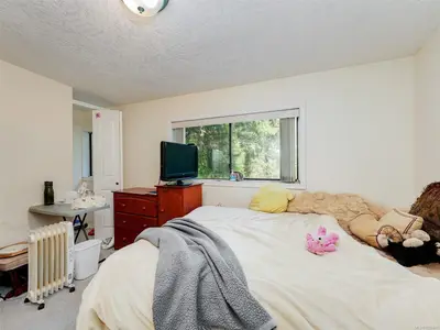 View 19