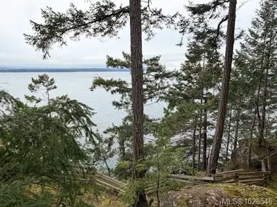 View 36