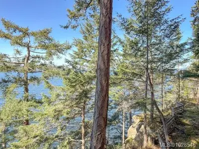 View 37