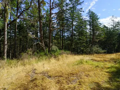 View 27