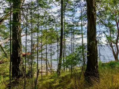 View 22