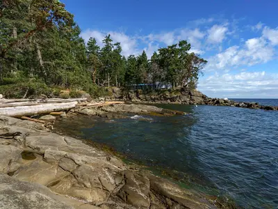 View 5