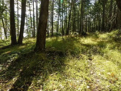 View 24