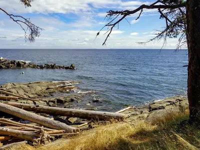 View 15